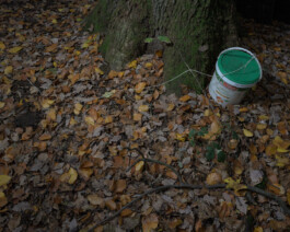 Eine Fotografie aus der kuenstlerischen Arbeit Fecher von Dennis Haustein. 