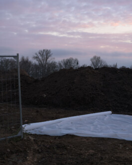 Eine Fotografie aus der kuenstlerischen Arbeit Fecher von Dennis Haustein.
