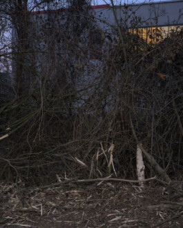 Eine Fotografie aus der kuenstlerischen Arbeit Fecher von Dennis Haustein.