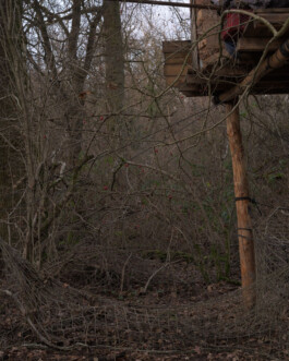 Eine Fotografie aus der kuenstlerischen Arbeit Fecher von Dennis Haustein.