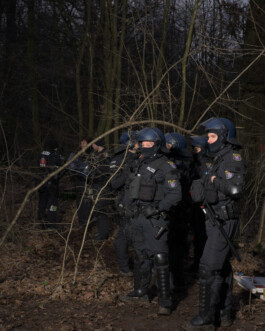 Eine Fotografie aus der kuenstlerischen Arbeit Fecher von Dennis Haustein.