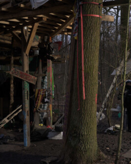 Eine Fotografie aus der kuenstlerischen Arbeit Fecher von Dennis Haustein.