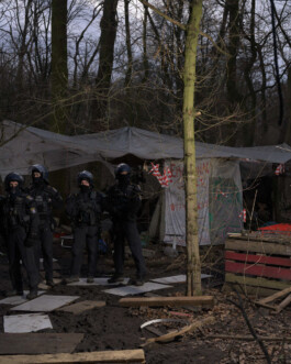 Eine Fotografie aus der kuenstlerischen Arbeit Fecher von Dennis Haustein.