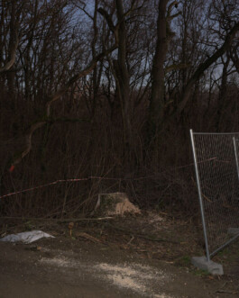 Eine Fotografie aus der kuenstlerischen Arbeit Fecher von Dennis Haustein.