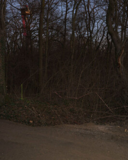 Eine Fotografie aus der kuenstlerischen Arbeit Fecher von Dennis Haustein.