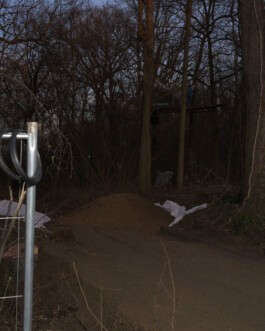 Eine Fotografie aus der kuenstlerischen Arbeit Fecher von Dennis Haustein.