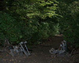 Eine Fotografie aus der kuenstlerischen Arbeit Fecher von Dennis Haustein. 