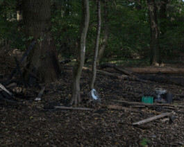 Eine Fotografie aus der kuenstlerischen Arbeit Fecher von Dennis Haustein. 