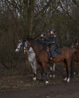 Eine Fotografie aus der kuenstlerischen Arbeit Fecher von Dennis Haustein.