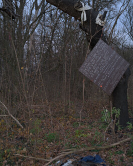 Eine Fotografie aus der kuenstlerischen Arbeit Fecher von Dennis Haustein.