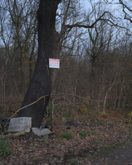Eine Fotografie aus der kuenstlerischen Arbeit Fecher von Dennis Haustein.
