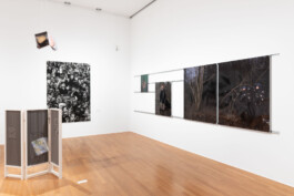 Eine Ausstellungsansicht der kuenstlerischen Arbeit