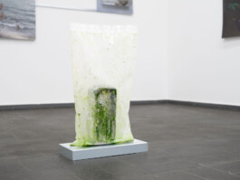 An exhibition view of the artistic work