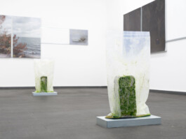 An exhibition view of the artistic work