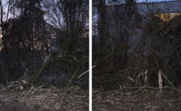 Eine Fotografie aus der kuenstlerischen Arbeit Fecher von Dennis Haustein.