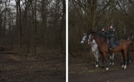 Eine Fotografie aus der kuenstlerischen Arbeit Fecher von Dennis Haustein.