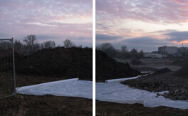 Eine Fotografie aus der kuenstlerischen Arbeit Fecher von Dennis Haustein.