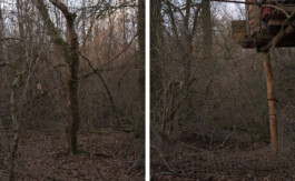 Eine Fotografie aus der kuenstlerischen Arbeit Fecher von Dennis Haustein.