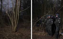 Eine Fotografie aus der kuenstlerischen Arbeit Fecher von Dennis Haustein.