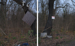 Eine Fotografie aus der kuenstlerischen Arbeit Fecher von Dennis Haustein.