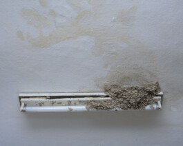 A photograph from the artwork some lives on earth by Dennis Haustein. 