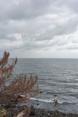 A photograph from the artwork some lives on earth by Dennis Haustein.