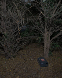 A photograph from the artwork some lives on earth by Dennis Haustein.