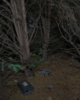 A photograph from the artwork some lives on earth by Dennis Haustein.