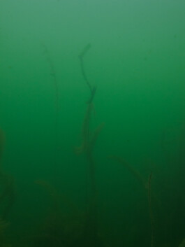 A photograph from the artwork some lives on earth by Dennis Haustein.