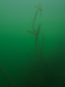 A photograph from the artwork some lives on earth by Dennis Haustein.