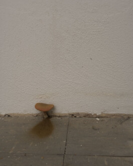 A photograph from the artwork some lives on earth by Dennis Haustein.