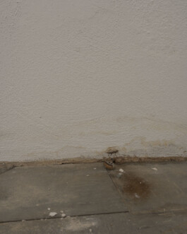 A photograph from the artwork some lives on earth by Dennis Haustein.