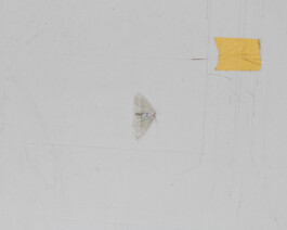 A photograph from the artwork some lives on earth by Dennis Haustein.