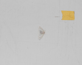 A photograph from the artwork some lives on earth by Dennis Haustein.