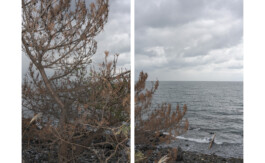 A photograph from the artwork some lives on earth by Dennis Haustein.