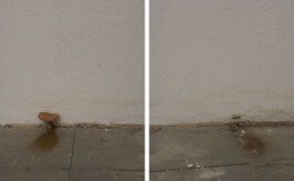 Eine Fotografie aus der kuenstlerischen Arbeit some lives on earth von Dennis Haustein.