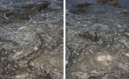 A photograph from the artwork some lives on earth by Dennis Haustein.