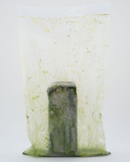 A photograph from the side project Mainwasser of the artwork some lives on earth by Dennis Haustein. 