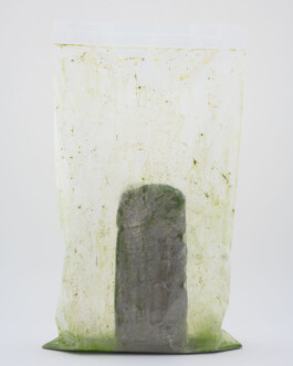 Eine Fotografie aus dem Nebenprojekt Mainwasser der kuenstlerischen Arbeit some lives on earth von Dennis Haustein. 