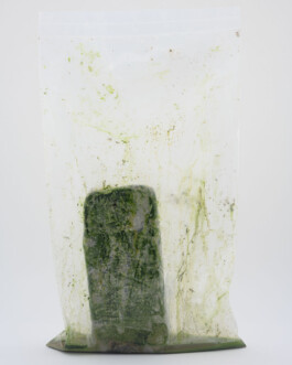 Eine Fotografie aus dem Nebenprojekt Mainwasser der kuenstlerischen Arbeit some lives on earth von Dennis Haustein. 