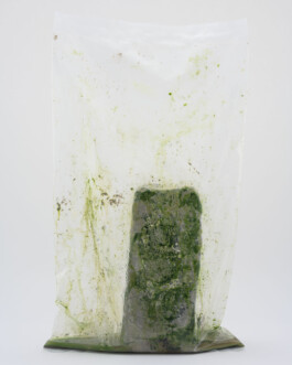 A photograph from the side project Mainwasser of the artwork some lives on earth by Dennis Haustein. 