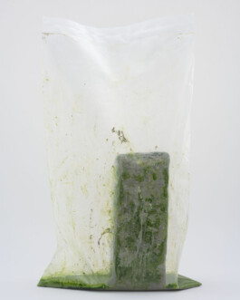 A photograph from the side project Mainwasser of the artwork some lives on earth by Dennis Haustein. 