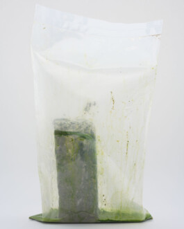 A photograph from the side project Mainwasser of the artwork some lives on earth by Dennis Haustein. 