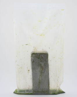 A photograph from the side project Mainwasser of the artwork some lives on earth by Dennis Haustein. 