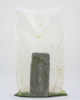 A photograph from the side project Mainwasser of the artwork some lives on earth by Dennis Haustein. 