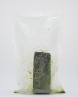 A photograph from the side project Mainwasser of the artwork some lives on earth by Dennis Haustein. 