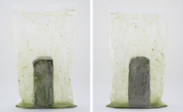 A photograph from the side project Mainwasser of the artwork some lives on earth by Dennis Haustein.