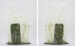 A photograph from the side project Mainwasser of the artwork some lives on earth by Dennis Haustein.