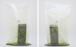 A photograph from the side project Mainwasser of the artwork some lives on earth by Dennis Haustein.