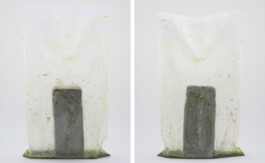 A photograph from the side project Mainwasser of the artwork some lives on earth by Dennis Haustein.